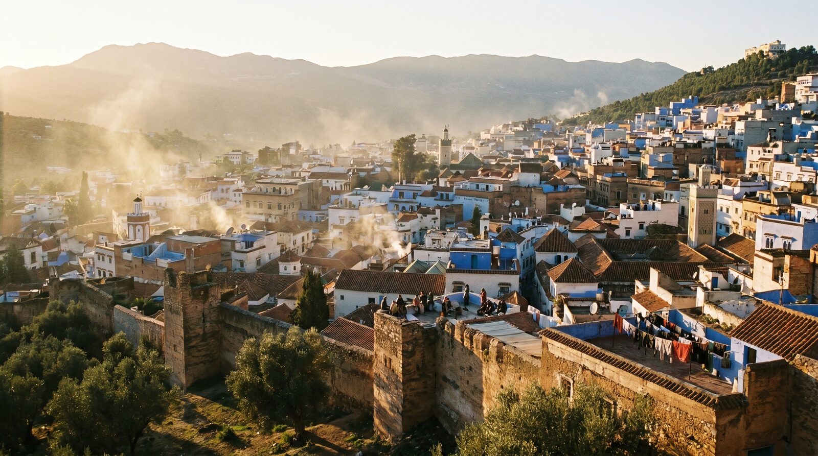 Панорама крыш квартала Бельведер